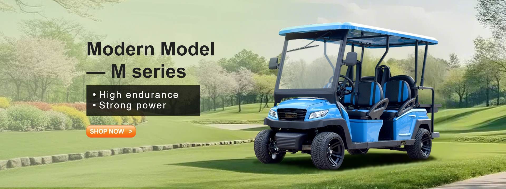 qualité Voiturettes de golf électriques Usine
