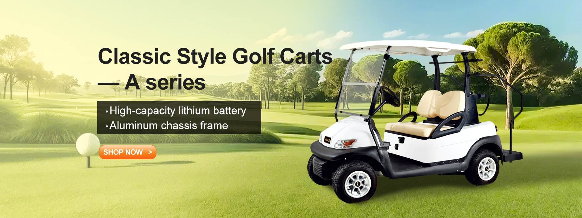 qualité Voiturettes de golf électriques Usine