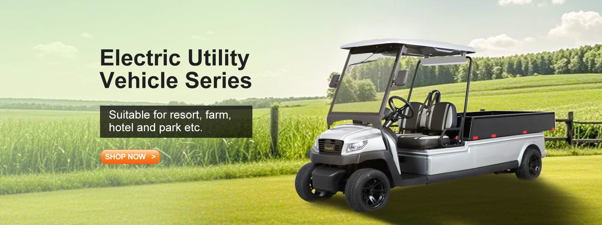 Qualité Voiturettes de golf électriques usine