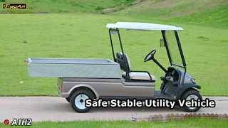 A1H2 Champagne Gold Ce véhicule utilitaire polyvalent électrique offre sécurité et stabilité, une longue