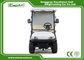 Cargo Type Hotel Golf Buggy With 205 / 50 - 10 Tyre Sofa Chair/Trojan Battery